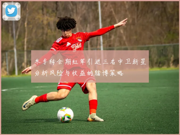 冬季转会期红军引进三名中卫新星分析风险与收益的赌博策略