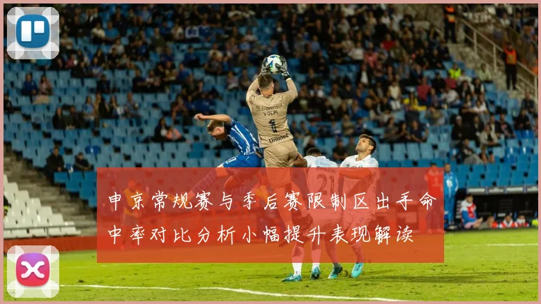 申京常规赛与季后赛限制区出手命中率对比分析小幅提升表现解读