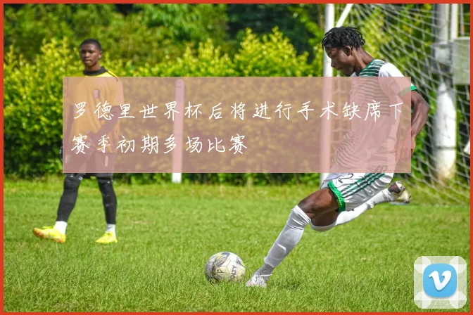 罗德里世界杯后将进行手术缺席下赛季初期多场比赛