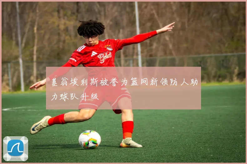 基翁埃利斯被誉为篮网新领防人助力球队升级